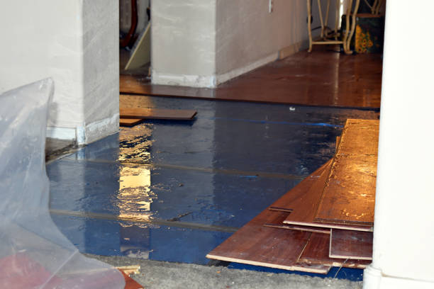 Professional Sewage Cleanup technician working in Geneva, OH